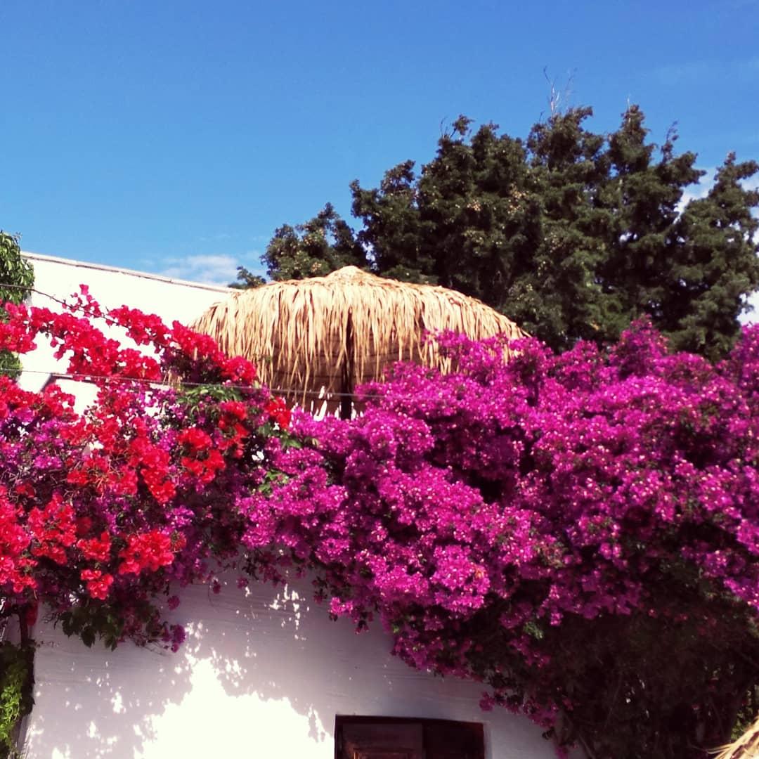 Naxos Summerland Resort Kastraki (Naxos) Exterior foto